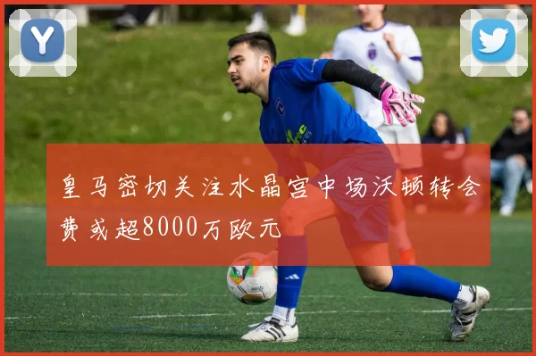 皇马密切关注水晶宫中场沃顿转会费或超8000万欧元